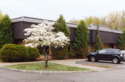 1 story flex building