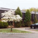 1 story flex building