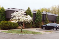 1 story flex building